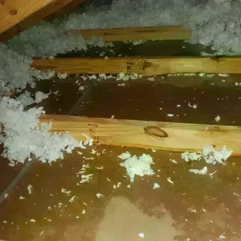 Attic Water Damage in Throckmorton, TX